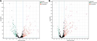 MHIF-MSEA: a novel model of miRNA set enrichment analysis based on multi-source heterogeneous information fusion